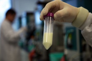 A vial of algae at the Solazyme lab. Ecover calls the algae-produced oil it uses a “natural” replacement for palm kernel oil. 