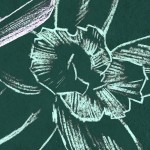 What is Synthetic Biology?