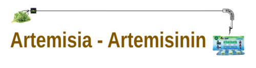 artemisia-header