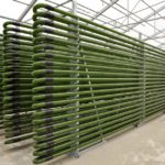New "Biotech for Biofuels" compilation released