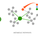 For Autodesk, a Step Into a Nanoscale World