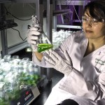 Re-engineering life? The dangers of 'next generation' biofuels
