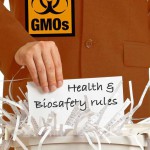 New Report: Biotech industry lobby intent on ransack of EU GMO rules