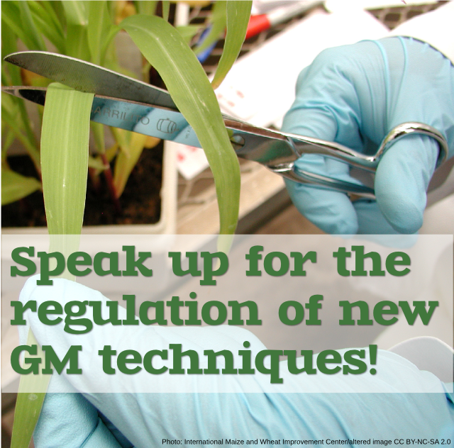 Speak up for the regulation of new GM techniques!