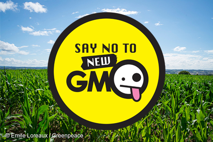 No new GMOs through the back door!