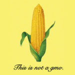 European Greens launch new gene-editing resources