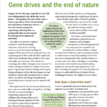 Reckless Driving: Gene drives and the end of nature