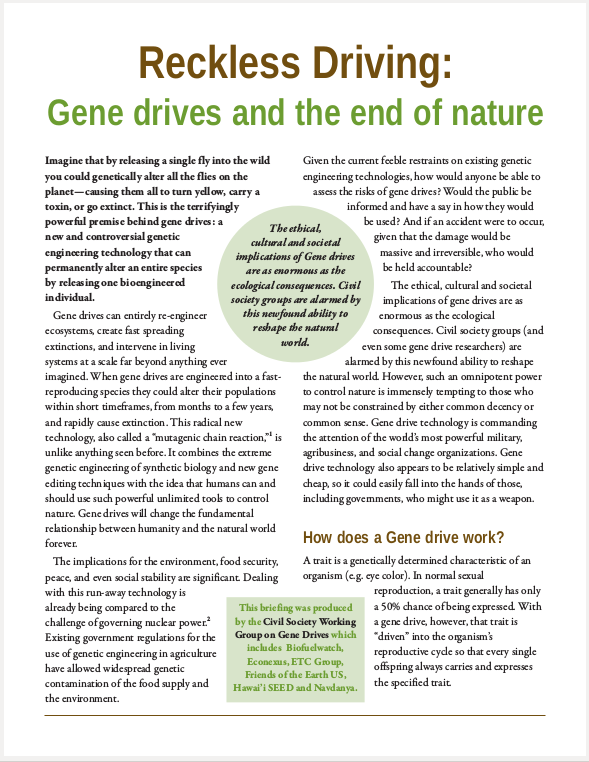 Reckless Driving: Gene drives and the end of nature