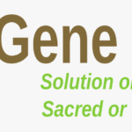 Gene Drives: Solution or Problem? Sacred or Synthetic?