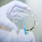 Experts warn home 'gene editing' kits pose risk to society